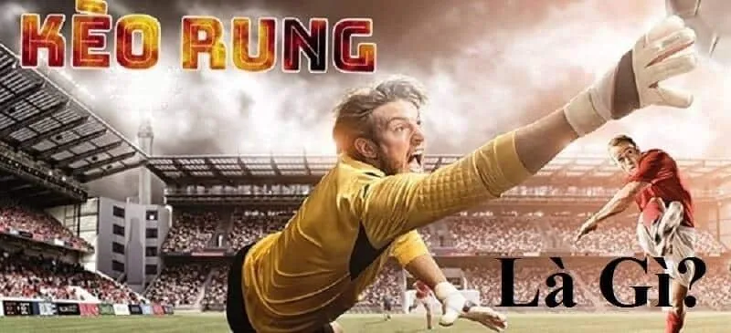 Lợi ích chơi kèo rung tại K8
