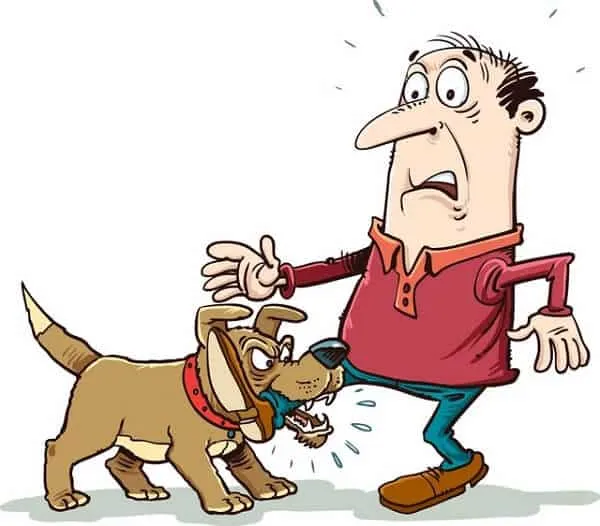 Mơ thấy chó đuổi cắn