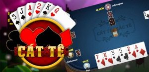 Thuật ngữ trong game catte